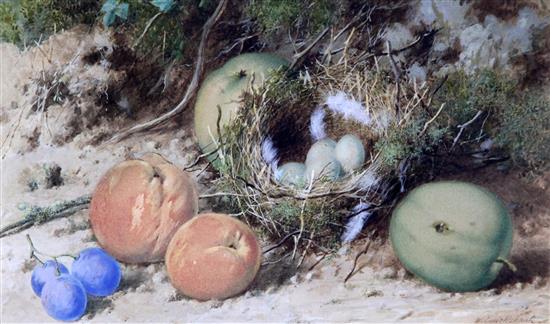 William Cruickshank (fl.1866-1879) Still lifes of fruit and birds nests, 6.5 x 10.5in.